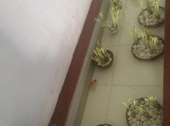 Khách sạn Y Bon *